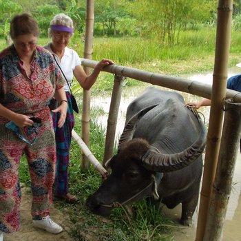 Mam goes to Thailand 023