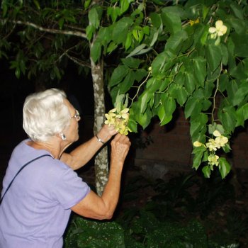 Mam goes to Thailand 004