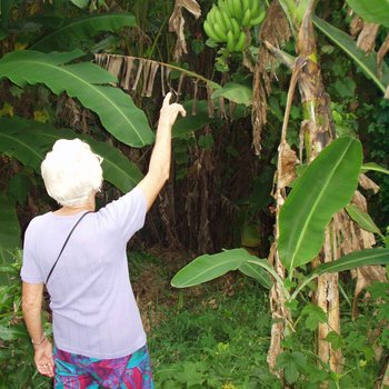 Mam goes to Thailand 001
