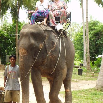 Mam goes to Thailand 030