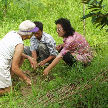 Mam plants a tree for the Thai people