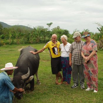 Hanging out with Water Buffalo