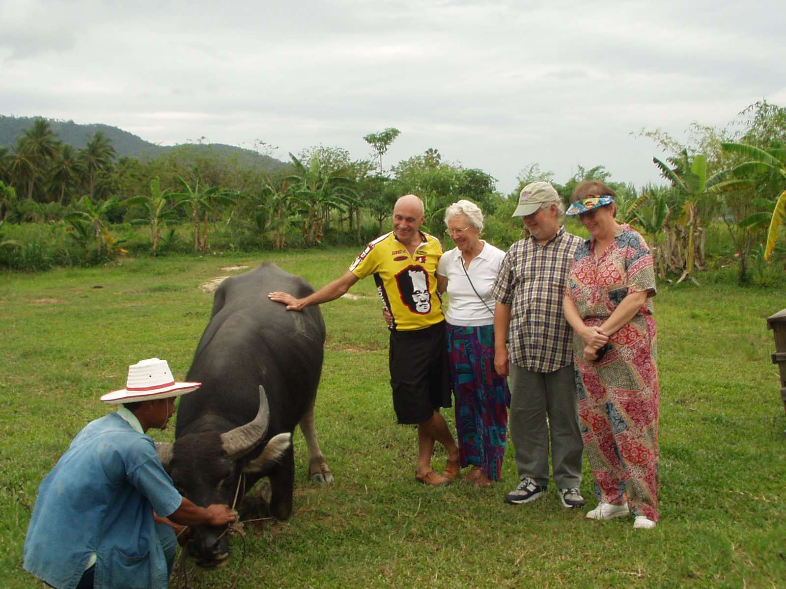 Hanging out with Water Buffalo