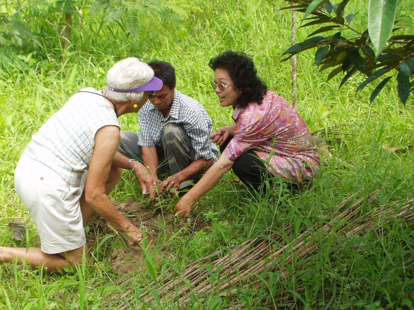 Mam plants a tree for the Thai people